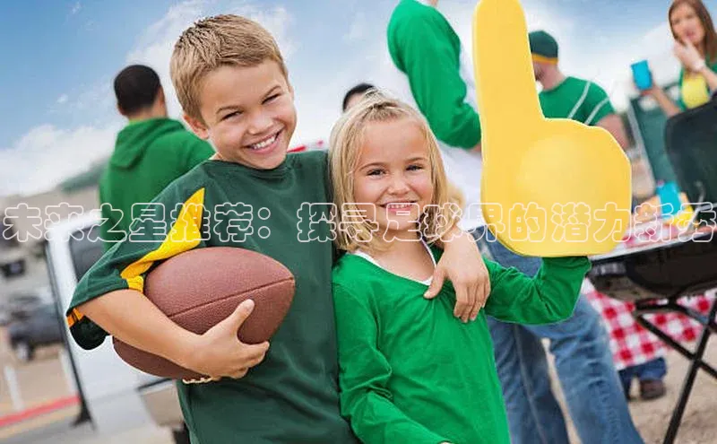 门徒平台官网轻美电器