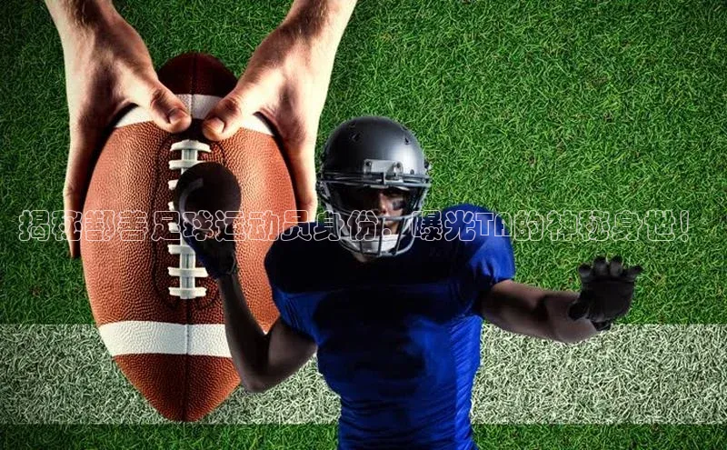 门徒娱乐百度翻译App