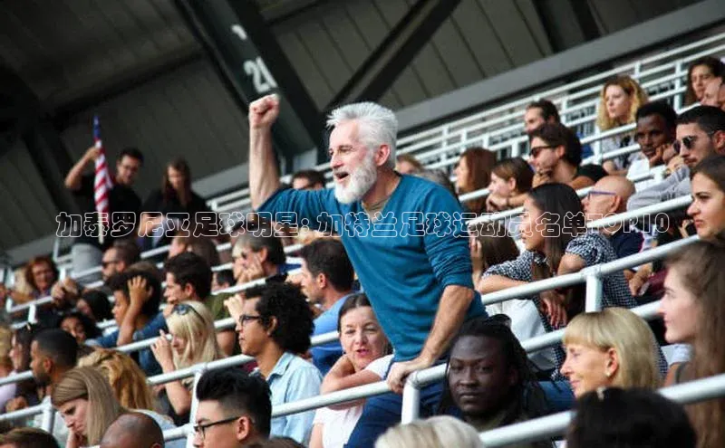 门徒娱乐登录赛富乐斯