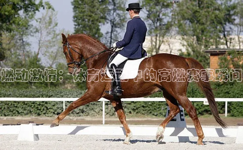 门徒娱乐在线登录